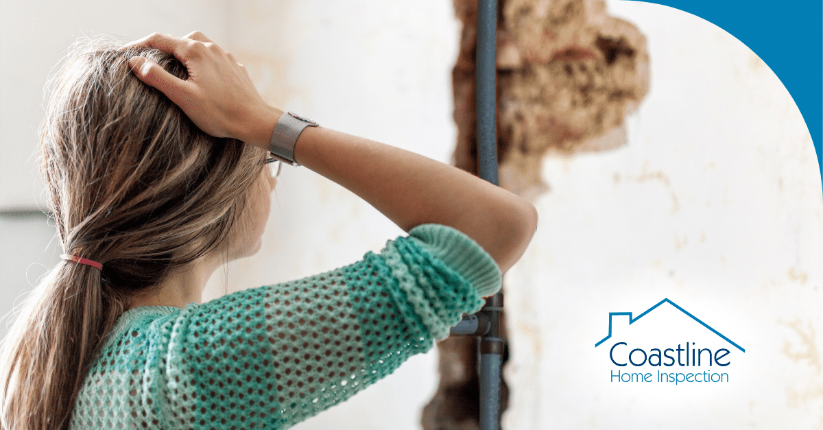 Why You Should Consider Replacing Polybutylene Pipes In Your Home