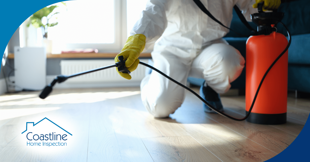 Technician in full protective gear applying pest control treatment on a hardwood floor inside a residential living space