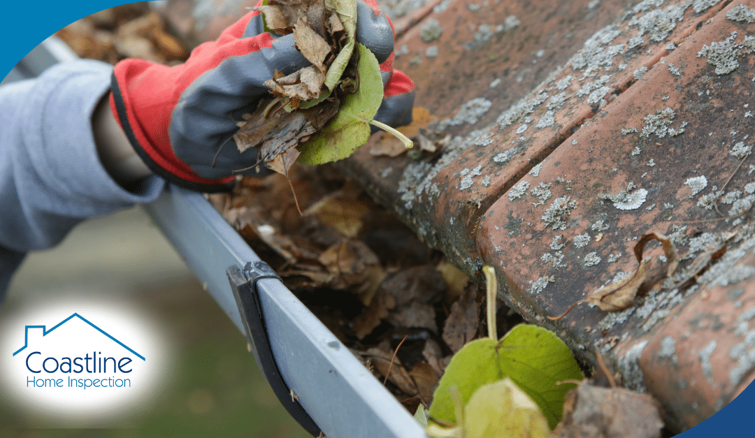 Florida Home Inspection For Hurricane Roof Safety