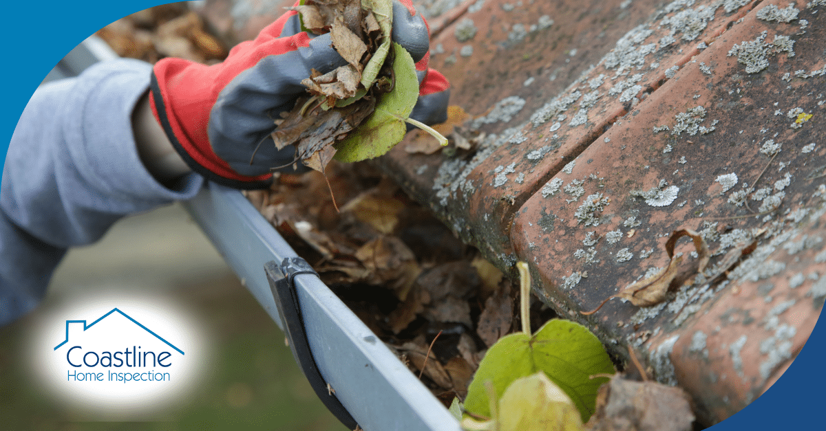 Gloved hand removing wet leaves from a dirty roof gutter.